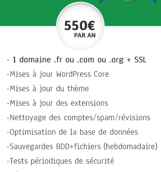 maintenance-wordpress-pro-abonnement-annuel