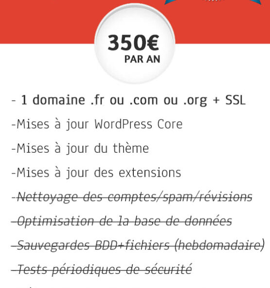 maintenance-wordpress-standard-abonnement-annuel